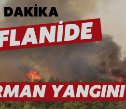 EFLANİ KORKUTAN YANGIN