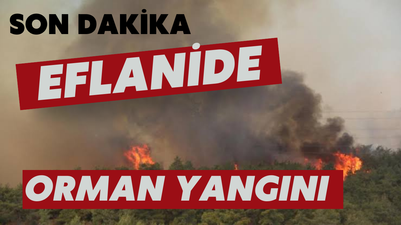 EFLANİ KORKUTAN YANGIN